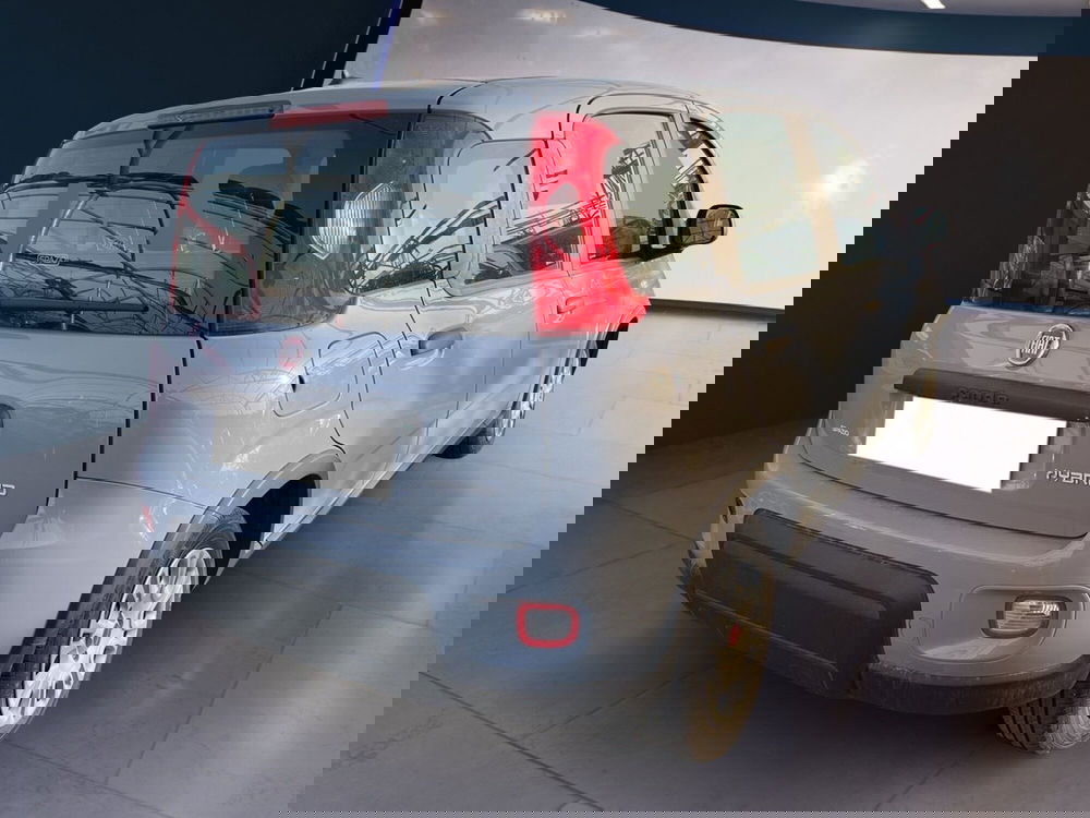 Fiat Panda usata a Torino (4)