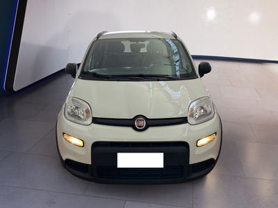 Fiat Panda 1.0 firefly hybrid s&amp;s 70cv 5p.ti del 2022 usata a Torino