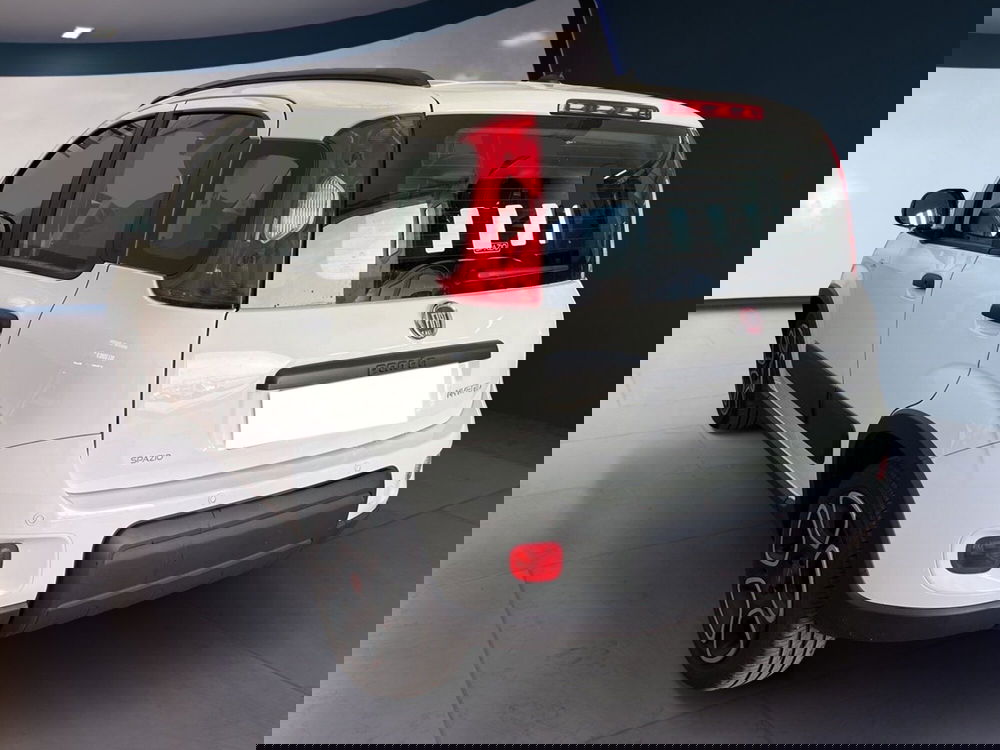 Fiat Panda usata a Torino (6)