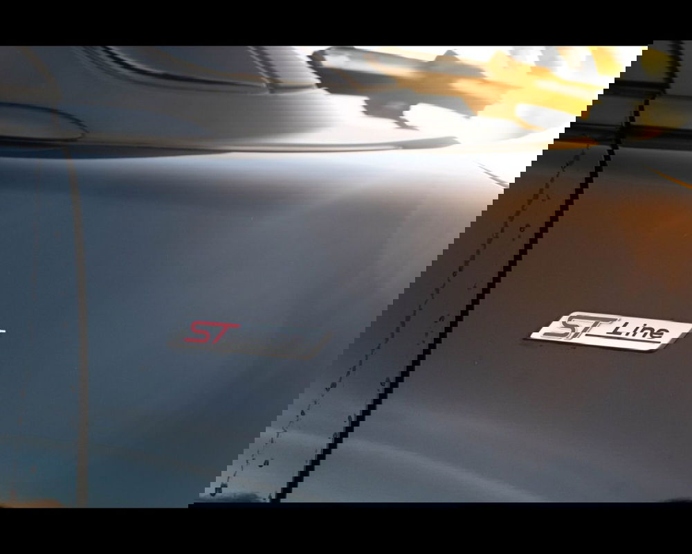 Ford Puma usata a Venezia (15)