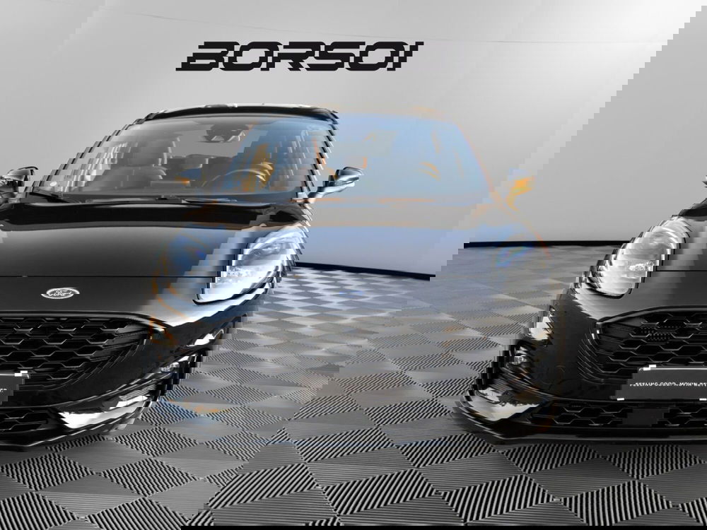 Ford Puma usata a Venezia (8)