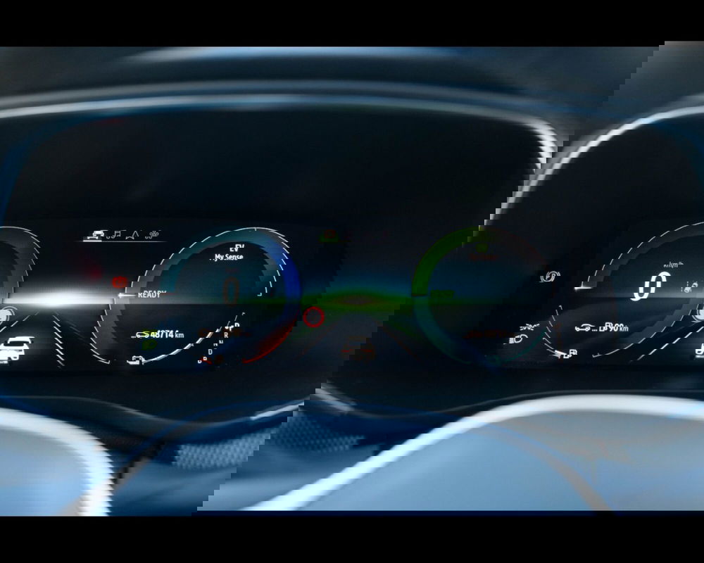 Renault Arkana usata a Venezia (18)