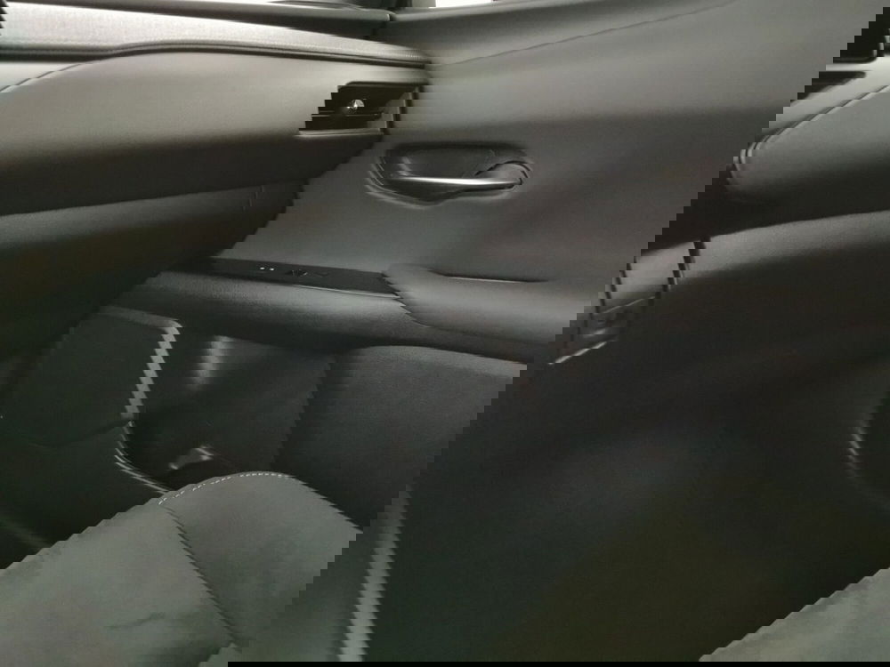 Lexus UX usata a Chieti (20)