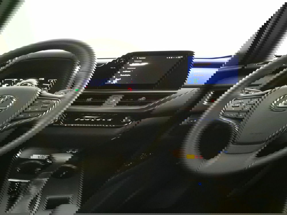 Lexus UX usata a Chieti (9)