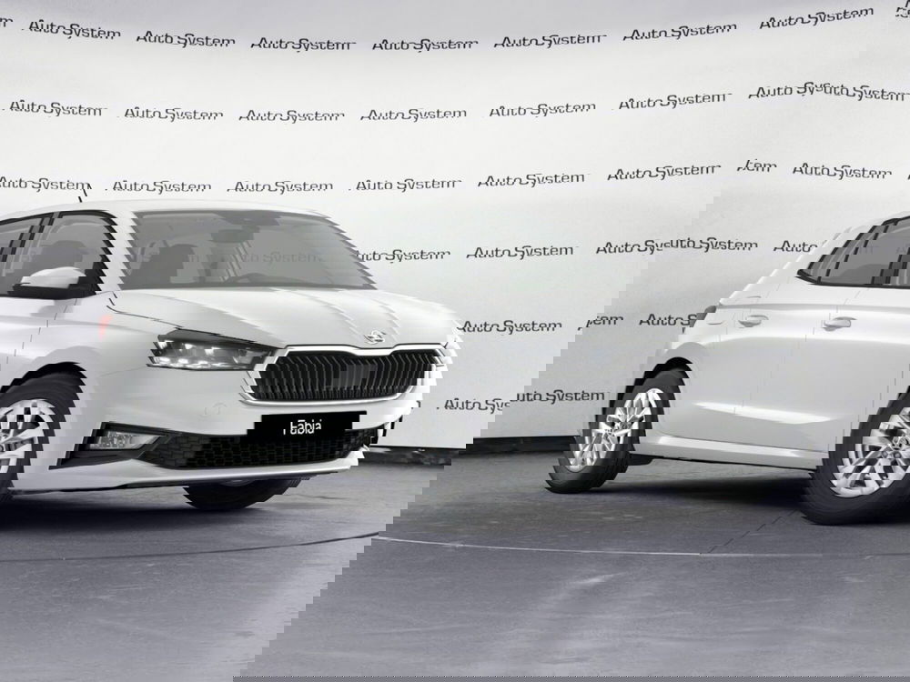 Skoda Fabia usata a Palermo