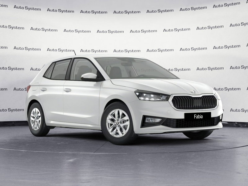 Skoda Fabia usata a Palermo