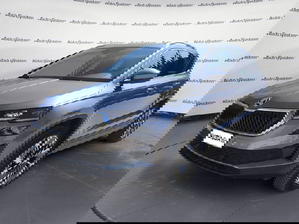 Skoda Karoq usata a Palermo