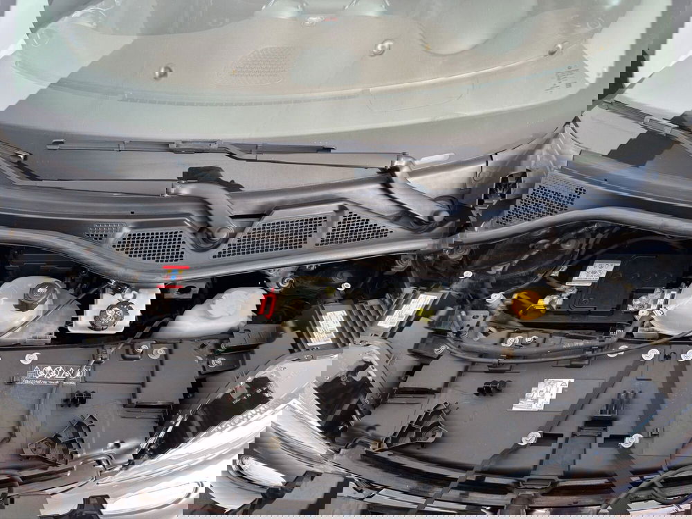 smart forfour usata a Cosenza (19)