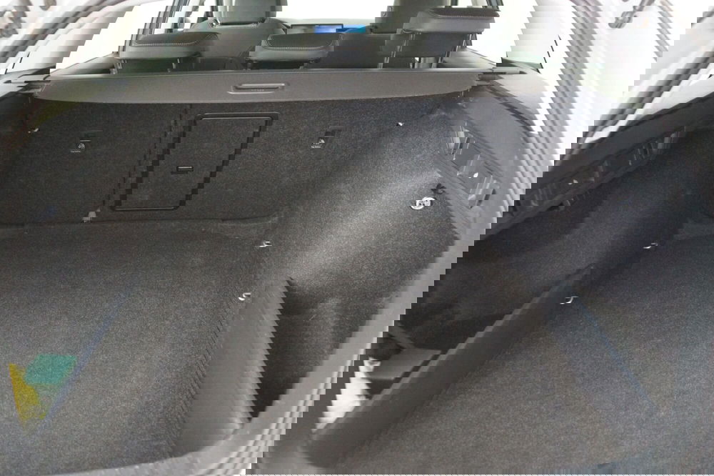 Skoda Octavia Station Wagon usata a Torino (7)