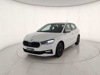 Skoda Fabia 1.0 mpi evo Young Edition 80cv del 2024 usata a Massa