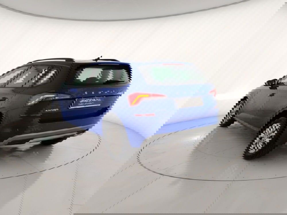 Skoda Kamiq usata a Massa-Carrara (2)