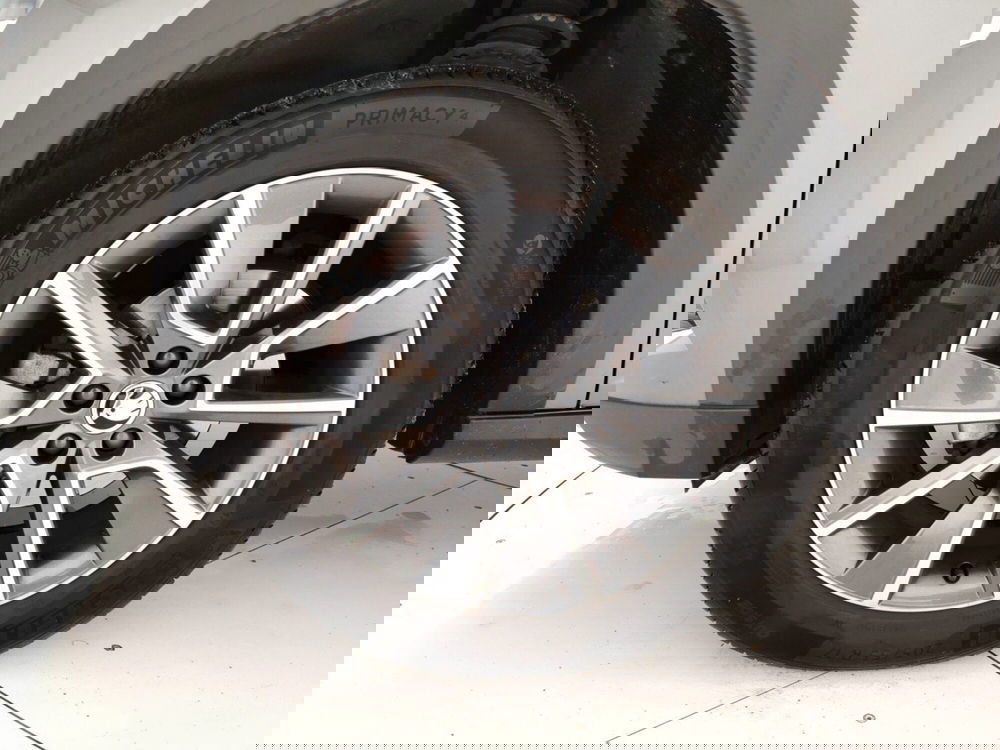 Skoda Kamiq usata a Massa-Carrara (2)