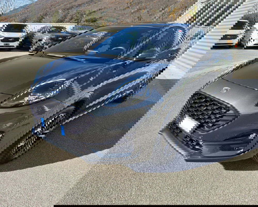 Ford Puma usata a Belluno