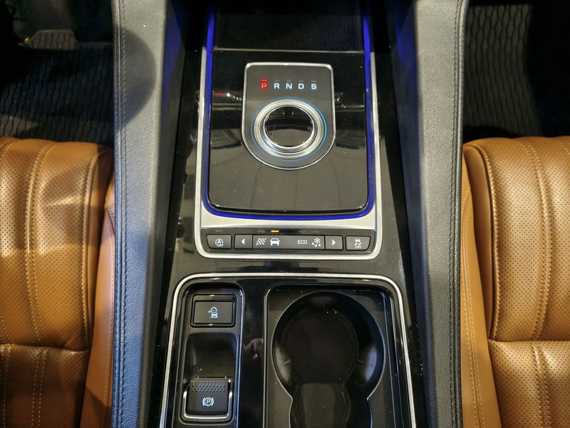 Jaguar F-Pace usata a Vercelli (19)