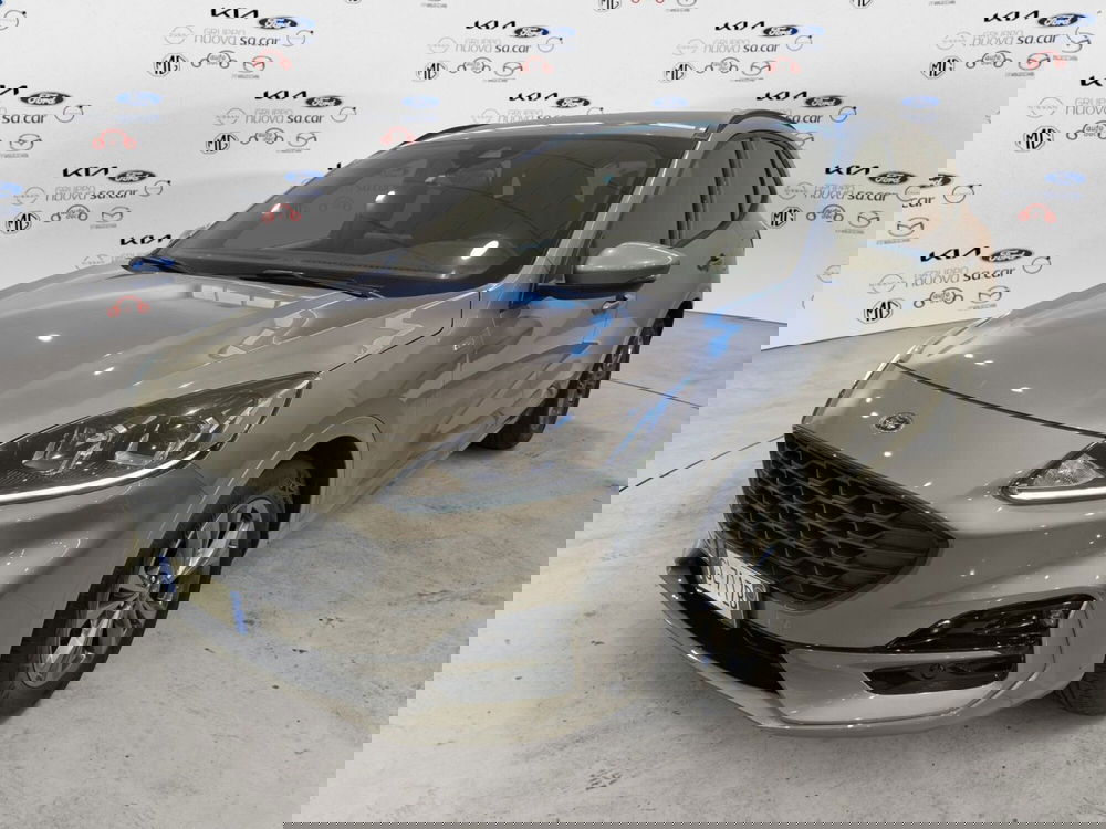 Ford Kuga usata a Vercelli