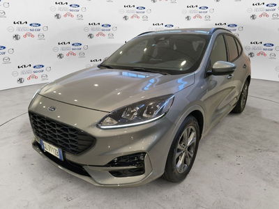 Ford Kuga 1.5 EcoBlue 120 CV 2WD ST-Line del 2022 usata a Caresanablot