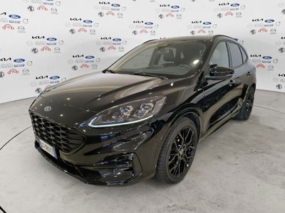 Ford Kuga 1.5 EcoBlue 120 CV 2WD ST-Line del 2021 usata a Caresanablot