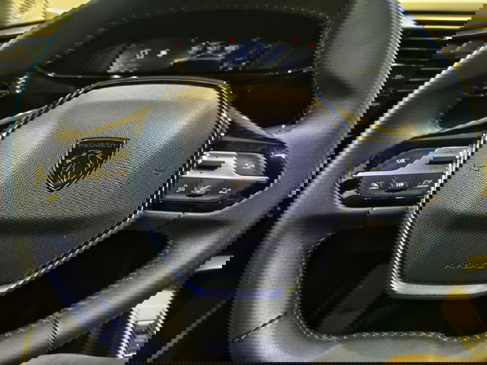 Peugeot 308 SW usata a Vercelli (11)