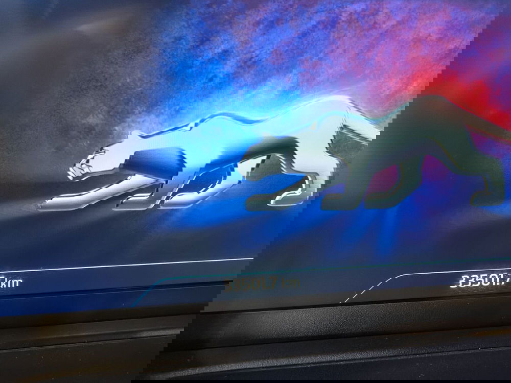 Ford Puma usata a Vercelli (13)