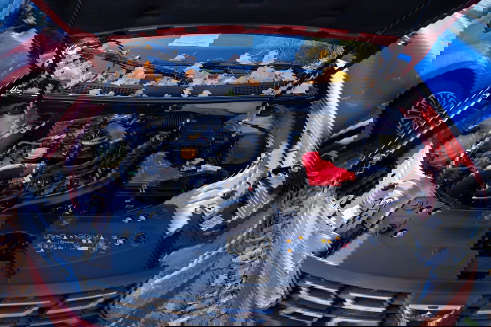 Dacia Duster usata a Torino (13)