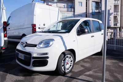 Fiat Panda 1.0 firefly hybrid s&amp;s 70cv 5p.ti del 2021 usata a Rivoli