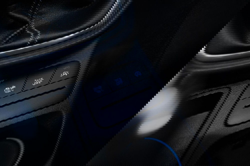 Ford Puma usata a Torino (9)