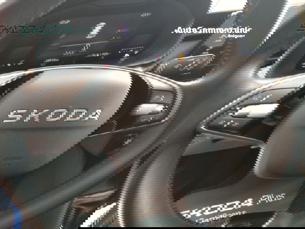 Skoda Kamiq usata a Bologna (11)