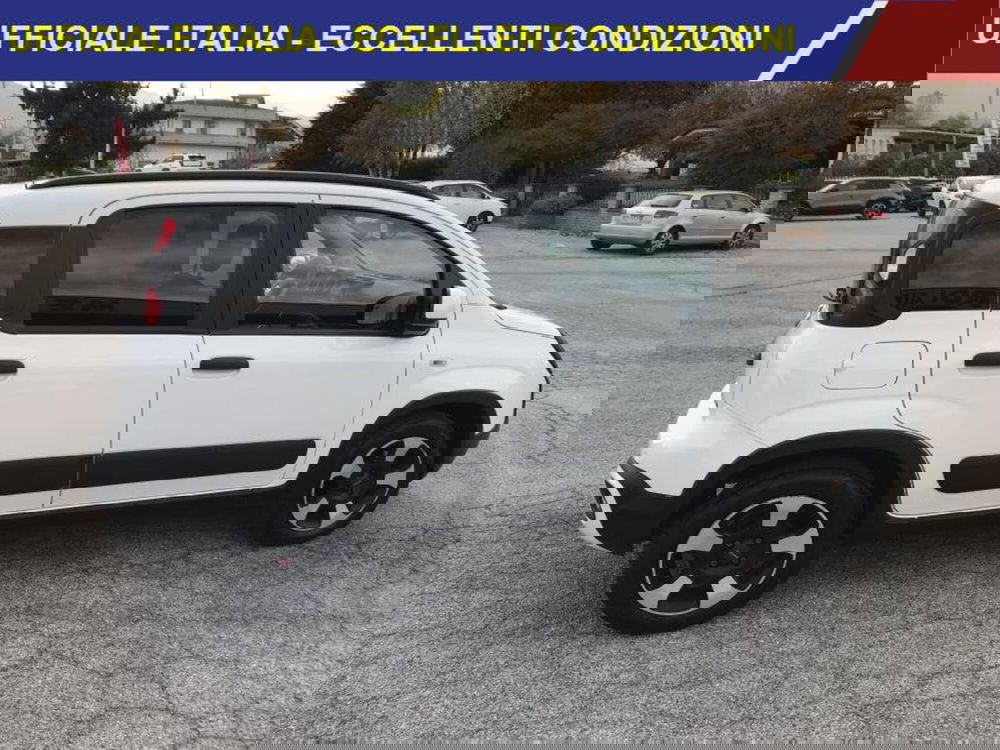 Fiat Panda Cross usata a Cuneo (2)