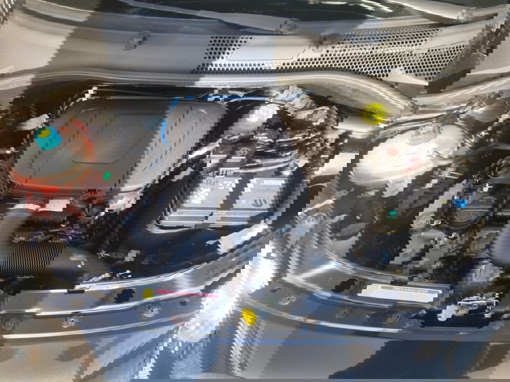 Fiat 500 usata a Arezzo (12)