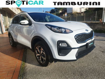 Kia Sportage 1.6 ECOGPL 2WD Business Class del 2021 usata a Cortona