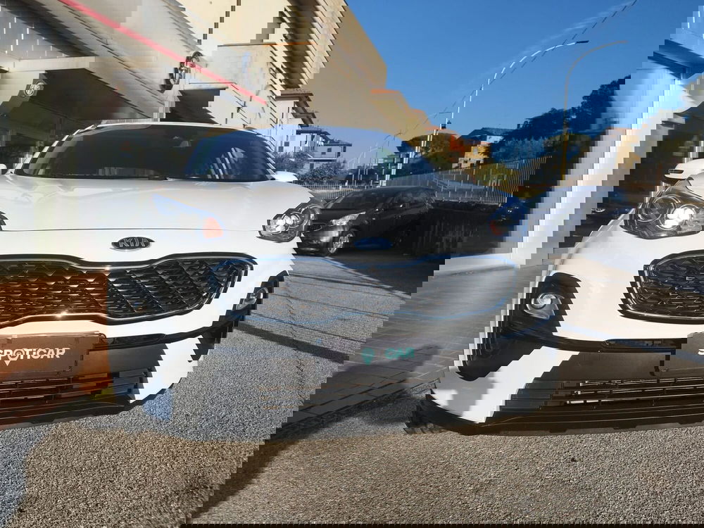Kia Sportage usata a Arezzo (2)