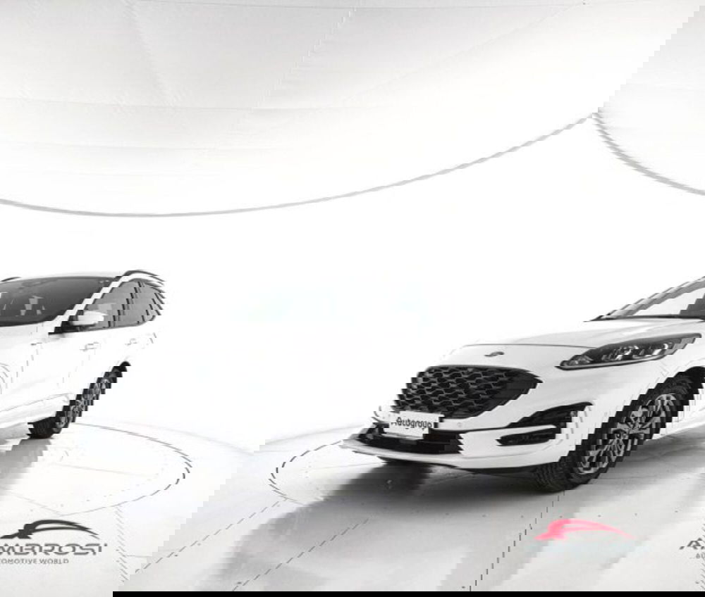 Ford Kuga usata a Perugia