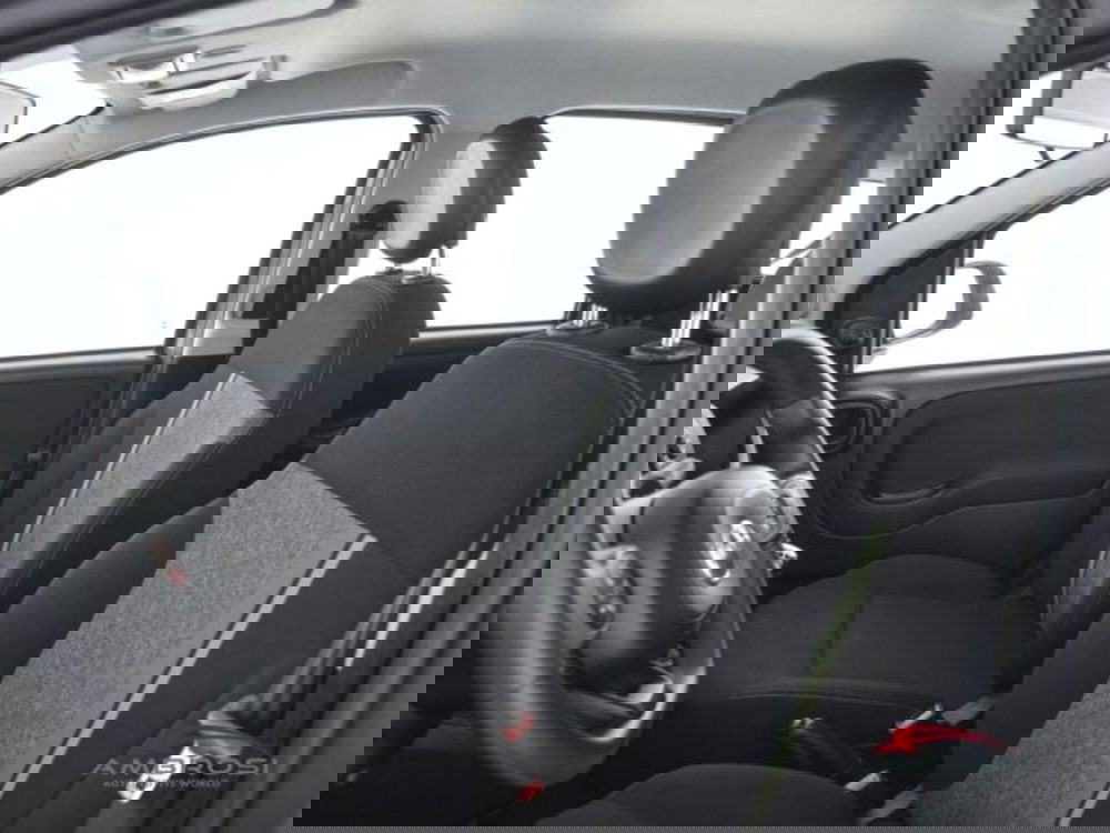 Fiat Panda usata a Perugia (9)