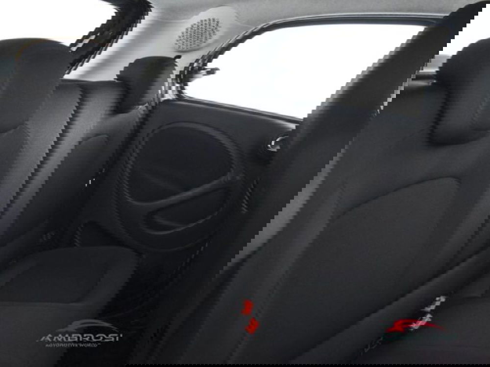 smart forfour usata a Perugia (11)