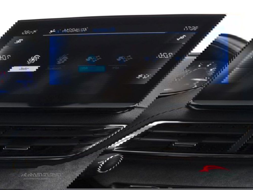 Peugeot 3008 usata a Perugia (15)