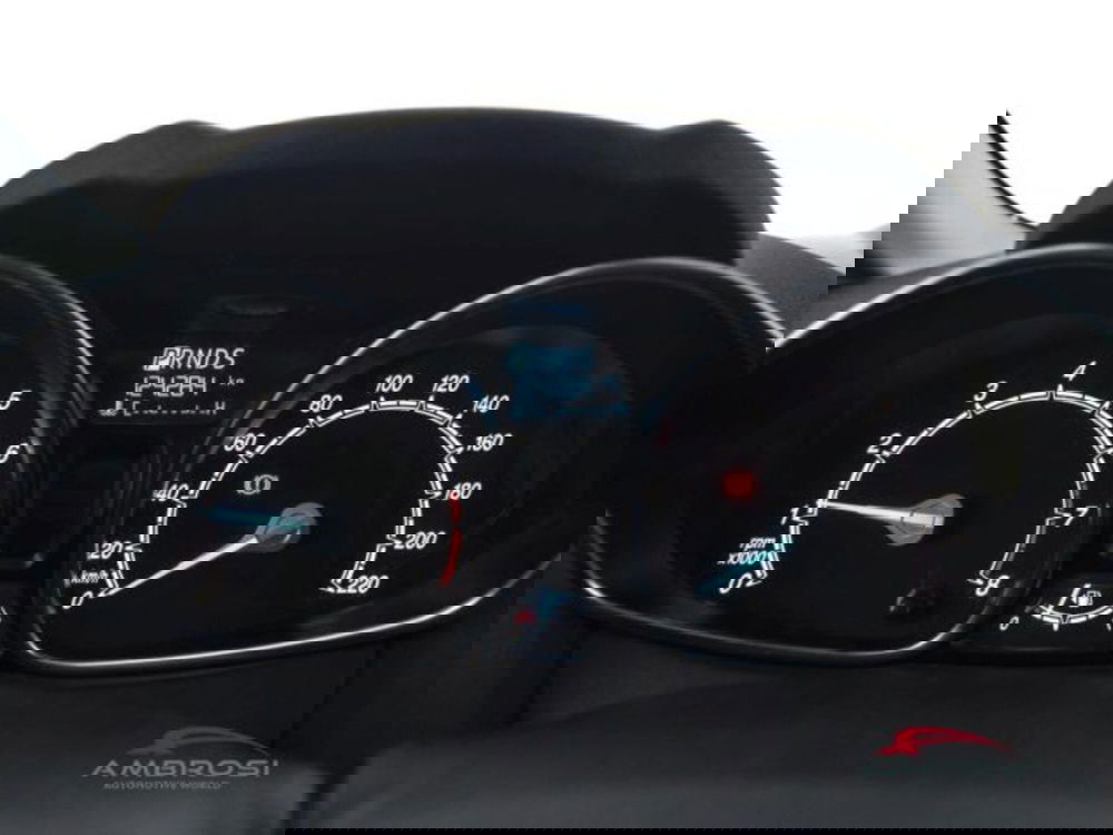 Ford Fiesta usata a Perugia (13)