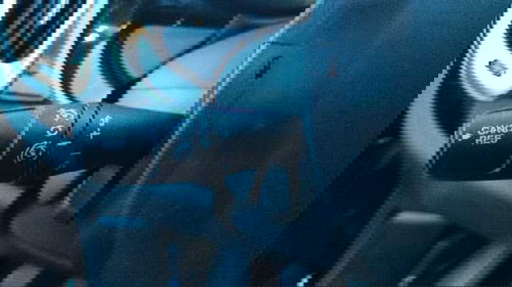 Fiat 500L usata a Firenze (19)