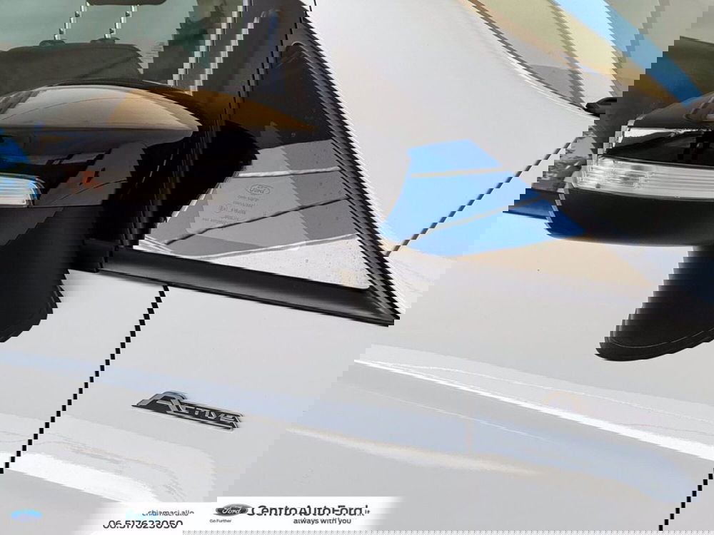 Ford EcoSport usata a Roma (15)