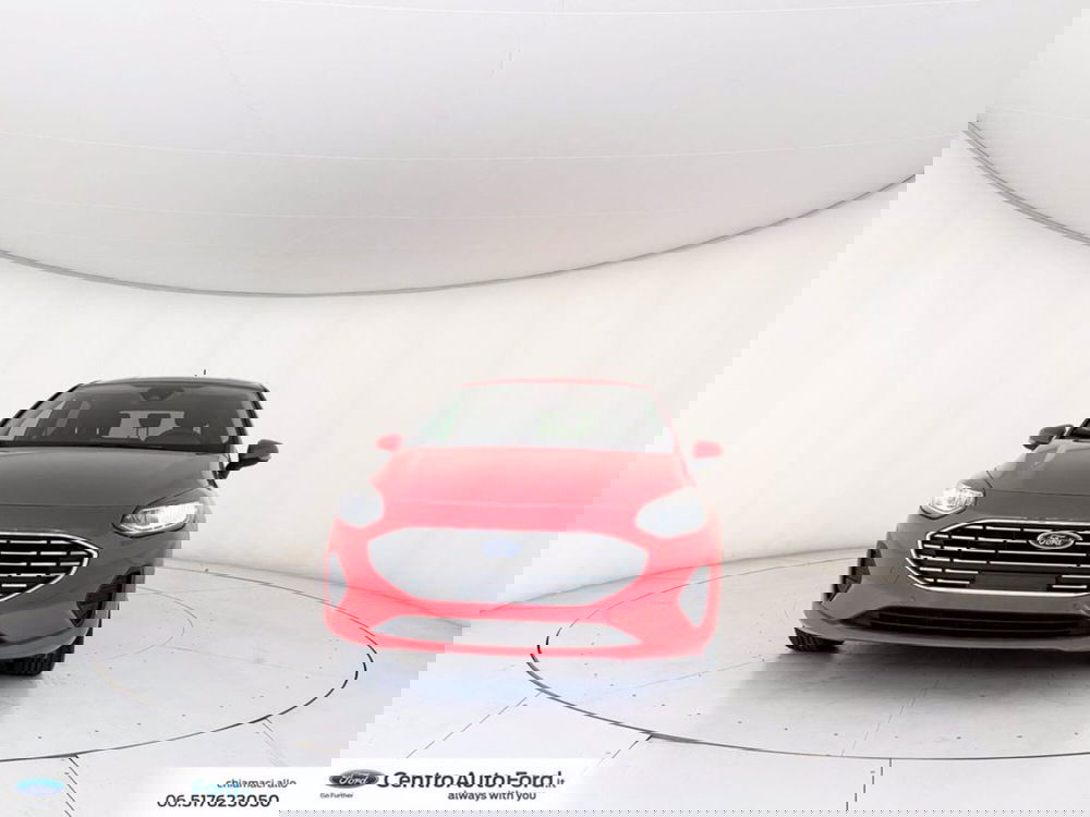 Ford Fiesta usata a Roma (2)