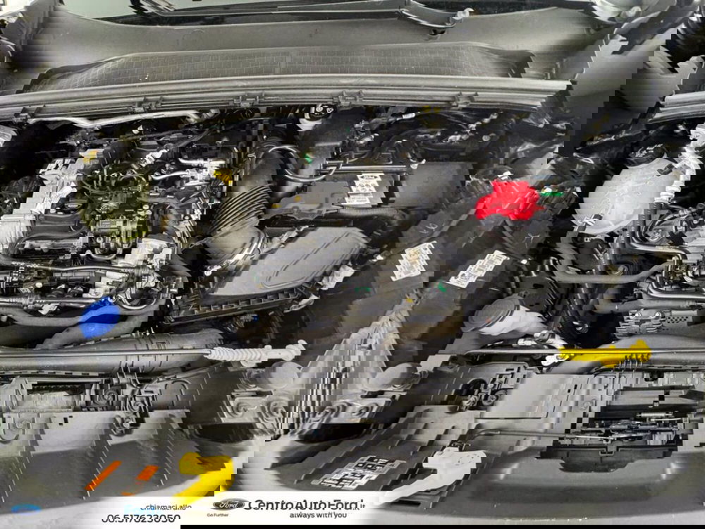 Ford Puma usata a Roma (12)