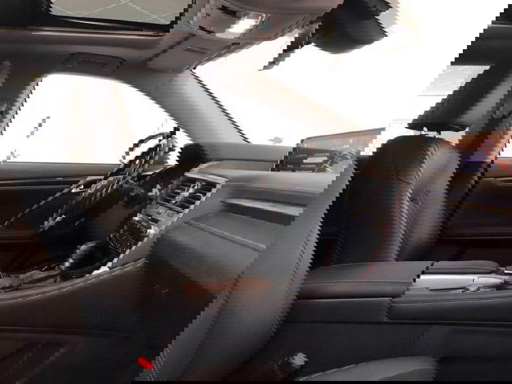 Lexus RX usata a Torino (10)