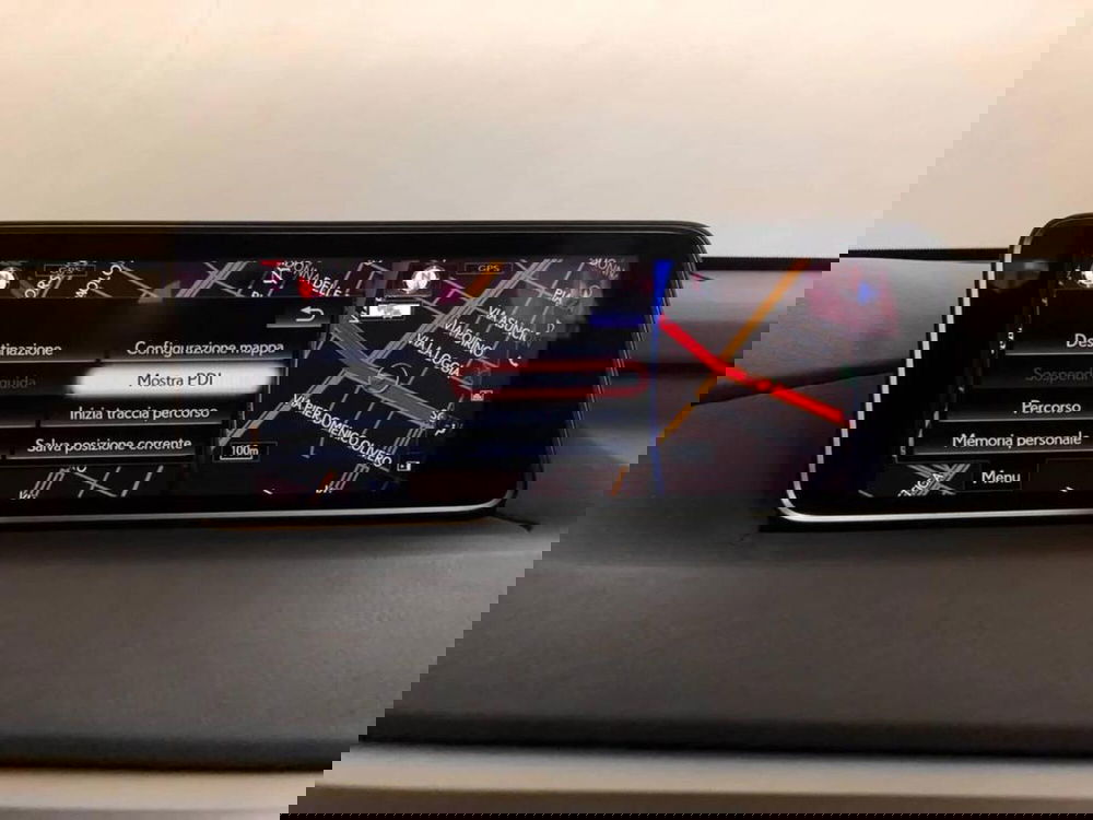 Lexus RX usata a Torino (12)