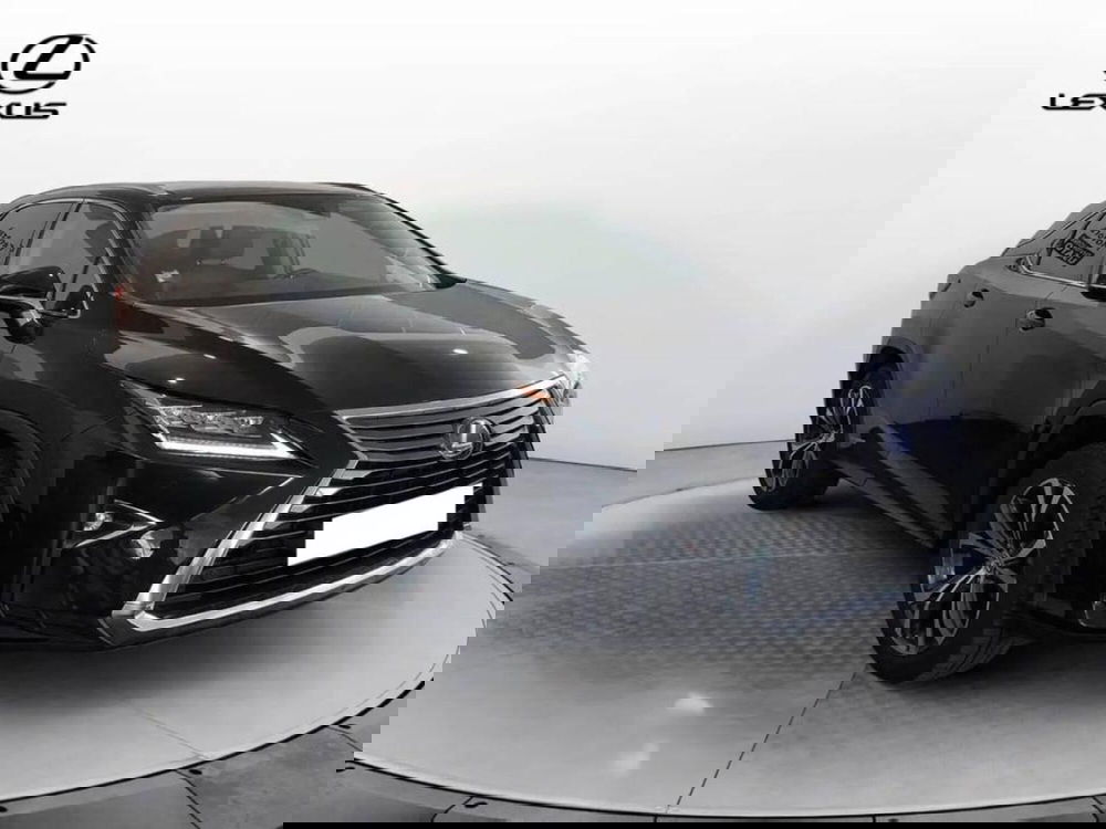 Lexus RX usata a Torino (4)