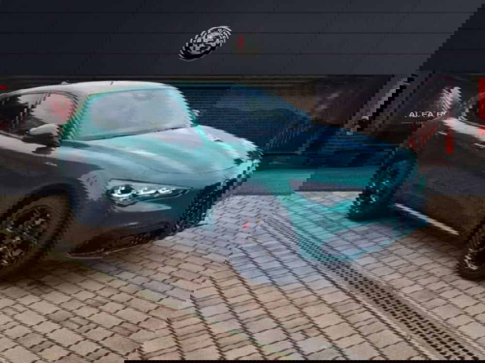 Alfa Romeo Stelvio usata a Monza e Brianza (3)