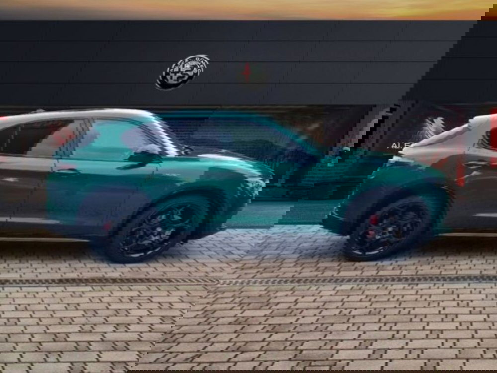 Alfa Romeo Stelvio usata a Monza e Brianza (4)