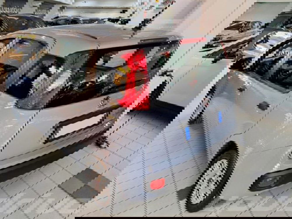 Fiat Panda usata a Napoli (3)