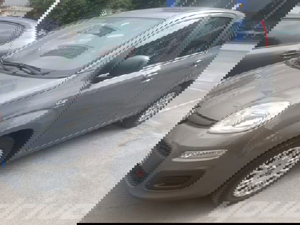 Fiat Panda usata a Napoli (2)