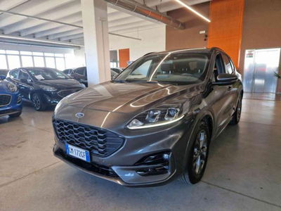 Ford Kuga 1.5 EcoBoost 150 CV 2WD ST-Line del 2023 usata a Imola