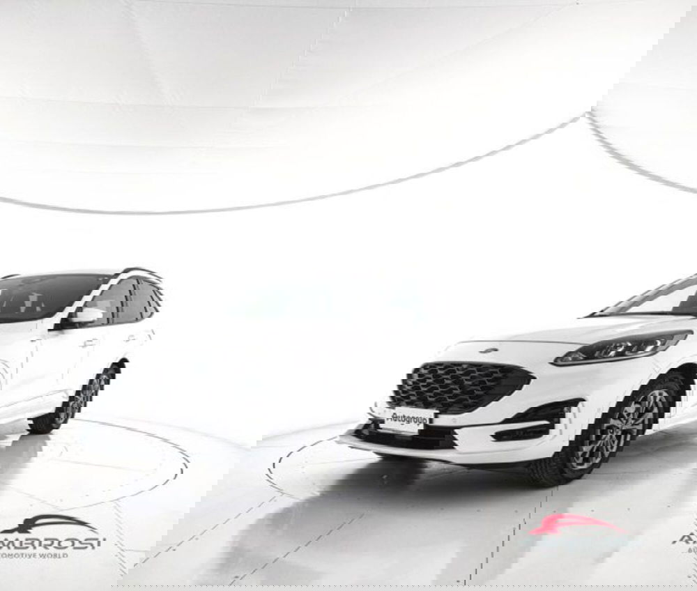 Ford Kuga usata a Perugia