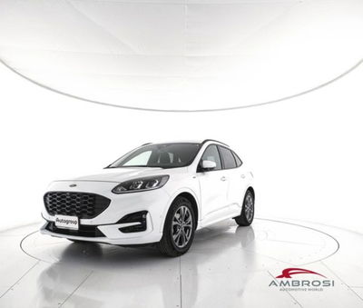 Ford Kuga 1.5 EcoBlue 120 CV aut. 2WD ST-Line X del 2021 usata a Corciano